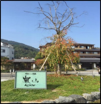 1577420860239730.jpg 1.jpg