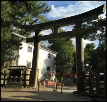 1577421170854654.jpg 9.jpg