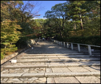 1577421273115036.jpg 13.jpg