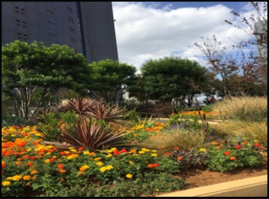 1577421725215546.jpg 28.jpg