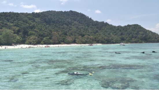 1577452540557519.jpg 3.jpg