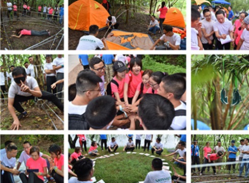 1577453154355356.jpg 3.jpg