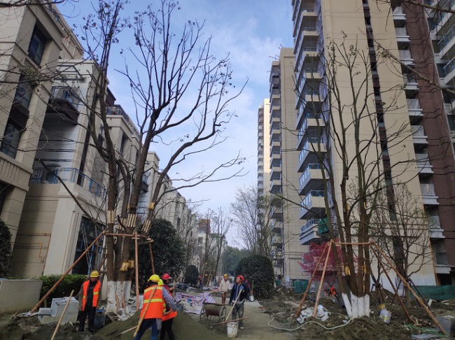 1577455201128523.jpg 5.jpg