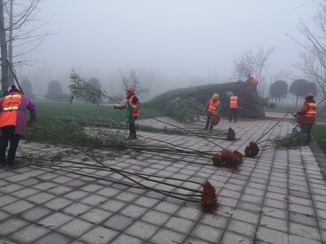 1577455290988483.jpg 7.jpg