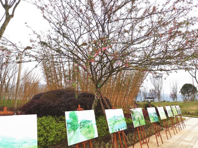 1577455300125080.jpg 8.jpg