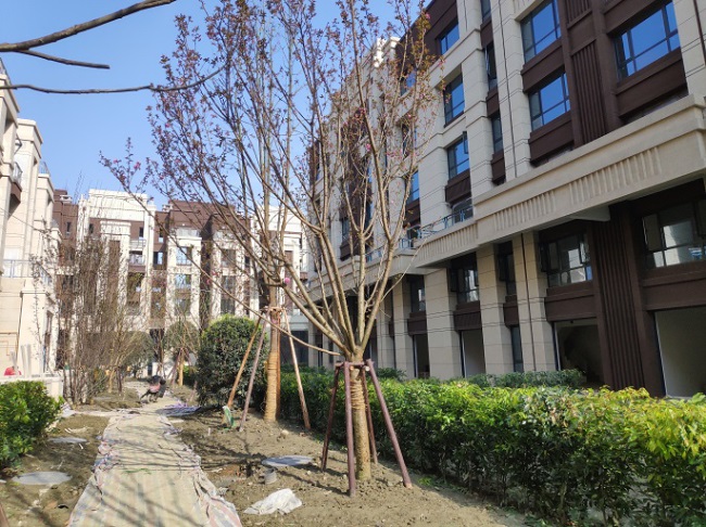 1577455418309914.jpg 6.jpg