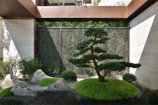 1577689853989644.jpg 3.jpg