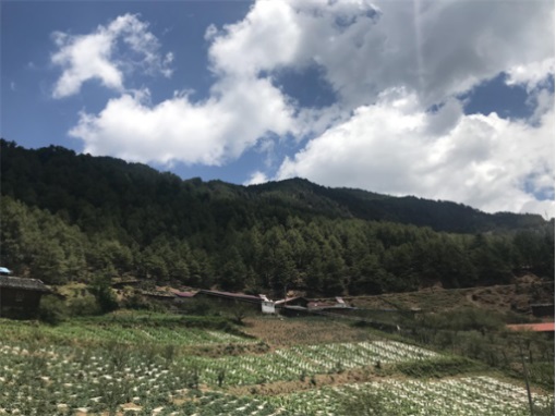 1577699874111331.jpg 1.jpg