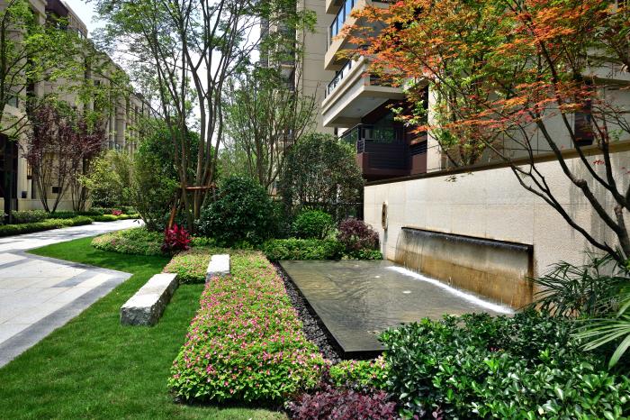 1582704289421901.jpg 1.jpg