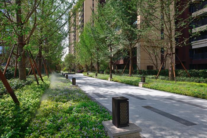 1582704323173825.jpg 4.jpg