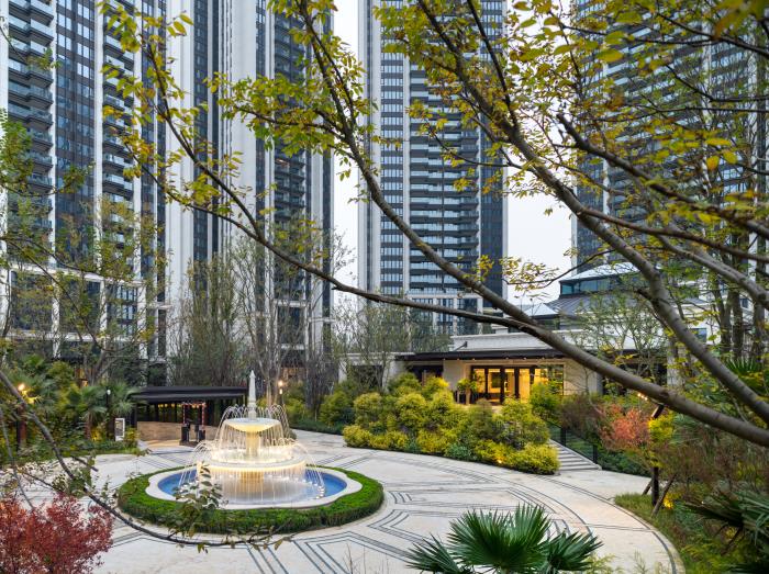 1582704813699450.jpg 8.jpg