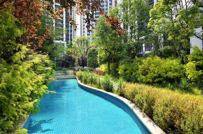 1582704848445084.jpg 12.jpg