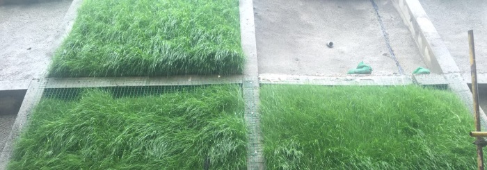 1582774260621146.jpg 1.jpg