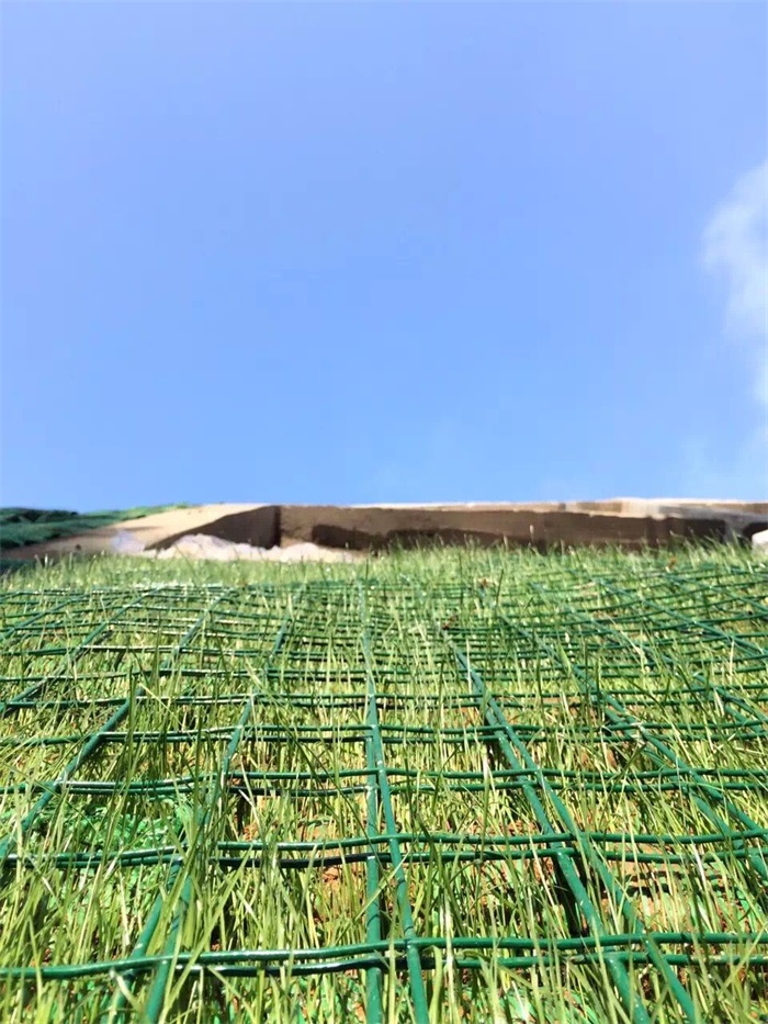 1582774322787494.jpg 5.jpg