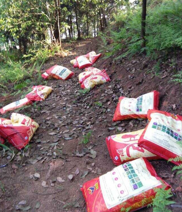 ʯɽʩ׷ľ޼ֲ.png