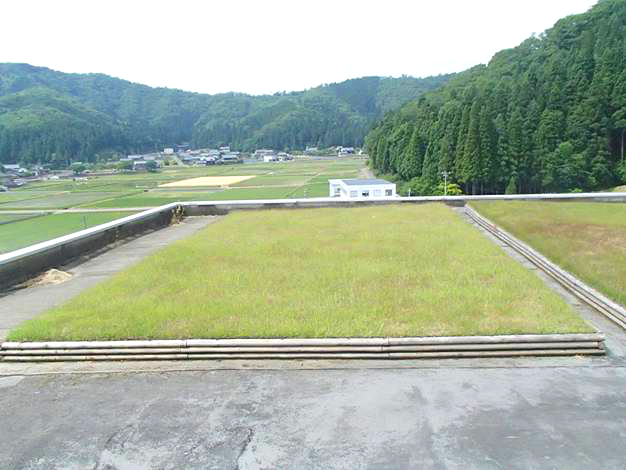 1583390098548028.png 4 后期维护管理效果实例(铺设完成3年后)_看图王.png