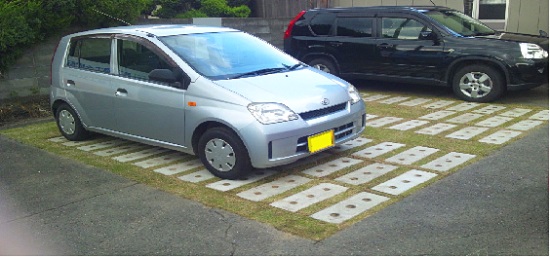 1583390949216255.jpg 11.jpg