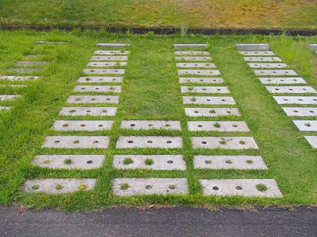 1583391014842490.jpg 033 施工后草坪生长情形实例(铺设完成4年后).jpg