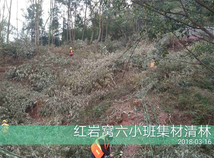 1583484107862024.jpg 2.jpg