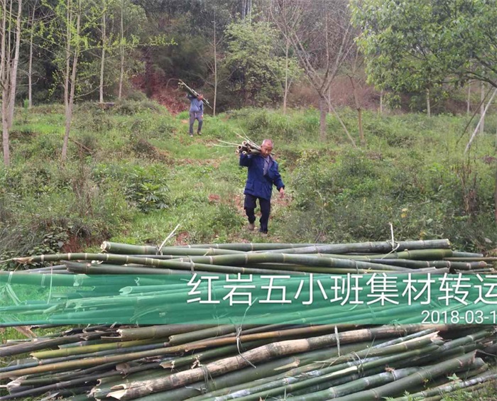 1583484116338616.jpg 3.jpg