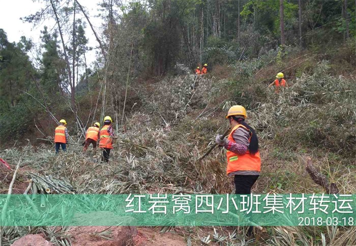 1583484125319867.jpg 4.jpg