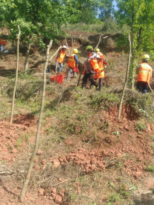 1583484134345304.jpg 5.jpg