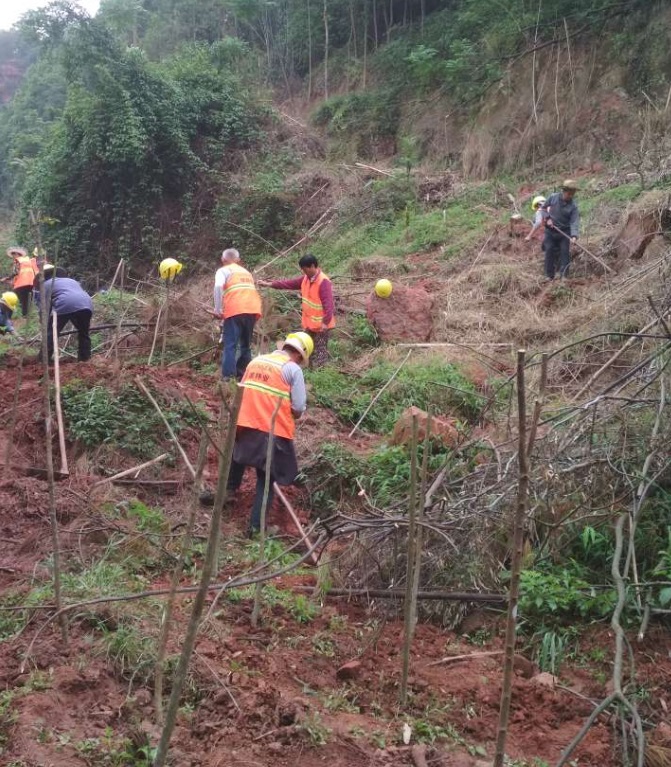 1583484143912080.jpg 6.jpg