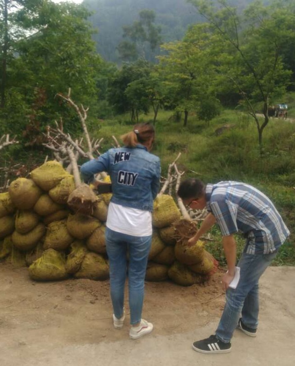 1583484154218359.jpg 7.jpg