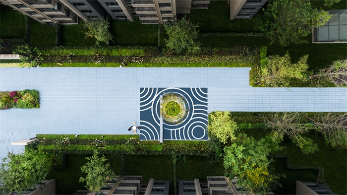 1608081999438964.jpg 1.jpg