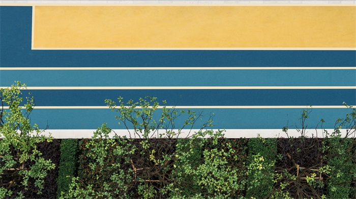 1608082005537636.jpg 2.jpg