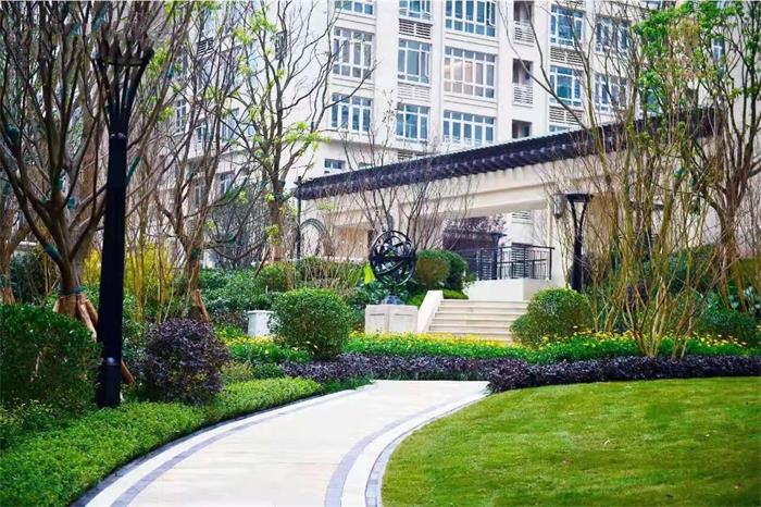 1612873649103847.jpg 7.jpg