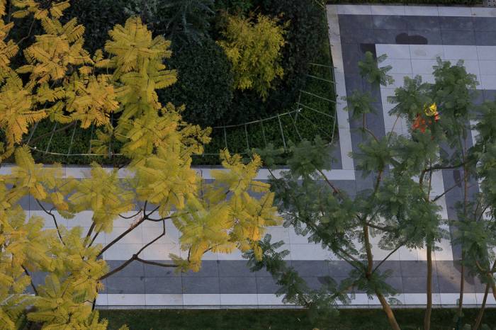 1644976223636775.jpg IMG_1733(1)_1(1).jpg