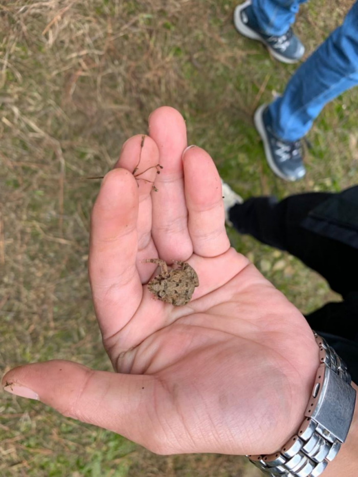 1654141288493963.png ÉúÎï¶àÑùÐÔ3.png