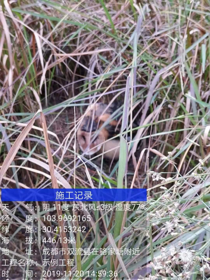 1654141325387364.png ÉúÎï¶àÑùÐÔ5.png