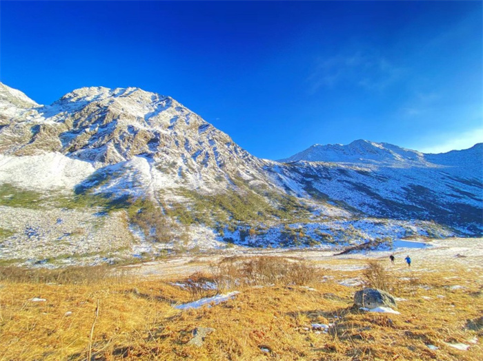 1668409736343051.jpg 15.jpg