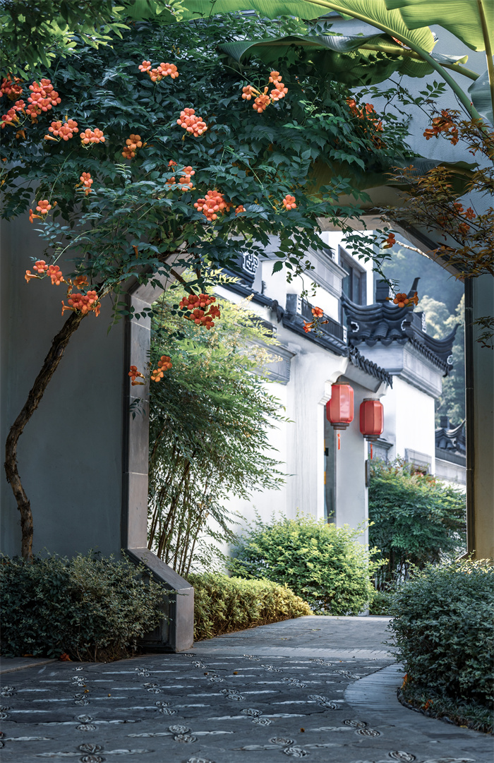 1685724111605567.jpg 微信图片_20230602235713.jpg